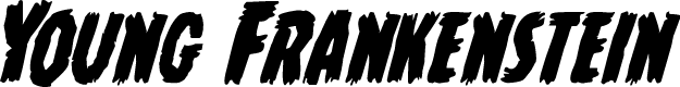Young Frankenstein Italic