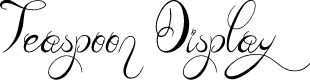 Teaspoon Display
