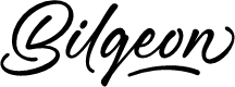 Bilgeon Regular