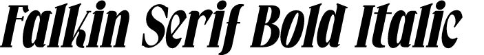 Falkin Serif Bold Ital PERSONAL