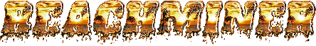 BEACHMINERITALICPERSONALUSE-B