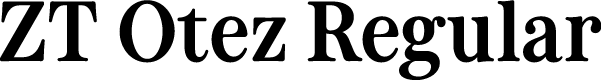 ZT Otez Regular