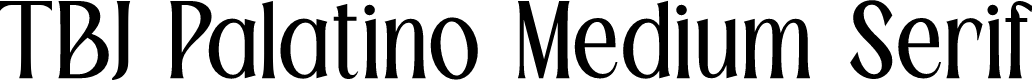 TBJ Palatino Medium Serif