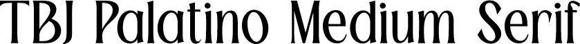 TBJ Palatino Medium Serif
