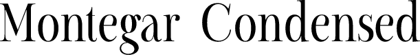 Montegar Demo Condensed