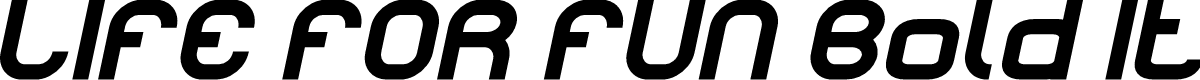 LIFE FOR FUN Bold Italic