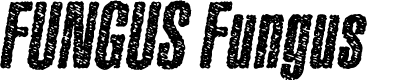FUNGUS ITALIC PERSONAL USE Bold Italic