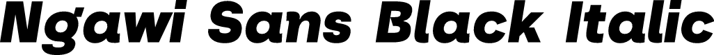 Ngawi Demo Black Italic