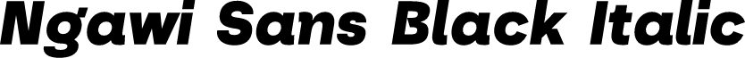 Ngawi Demo Black Italic