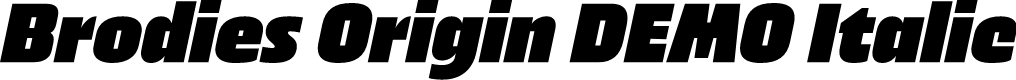 Brodies Origin DEMO Italic
