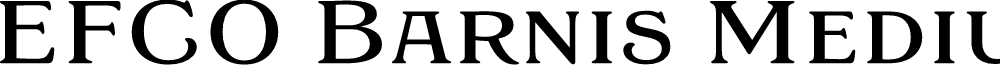 EFCO Barnis Medium