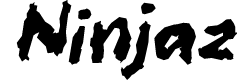  Ninjaz