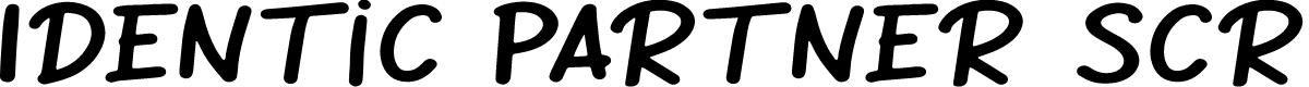 Identic Partner Script Display
