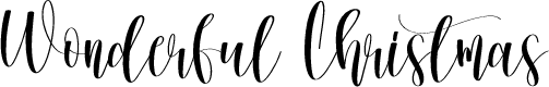 Wonderful Christmas