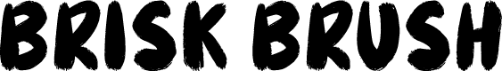 Brisk Brush