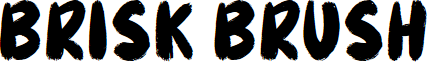 Brisk Brush