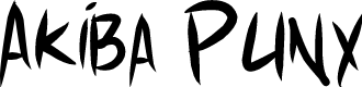 Akiba Punx