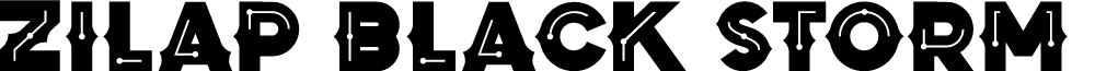 Zilap Black Storm Black