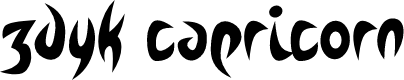Zdyk Capricorn