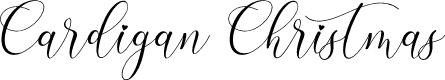 Cardigan Christmas