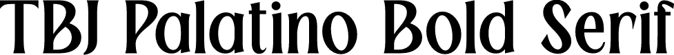 TBJ Palatino Bold Serif