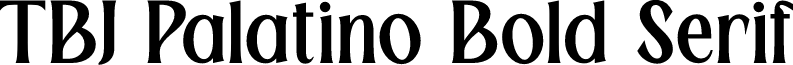TBJ Palatino Bold Serif