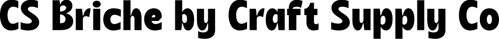 CS Briche Regular Demo