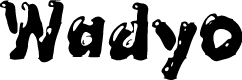 Wadyo