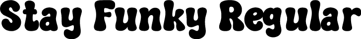Stay Funky Regular
