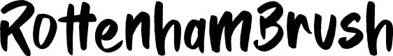RottenhamBrush