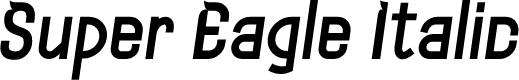 Super Eagle Italic Personal Use