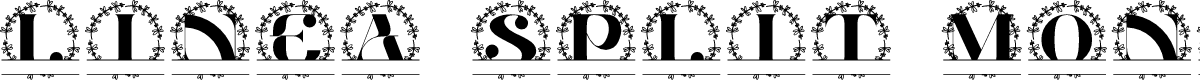 Linea Split Monogram