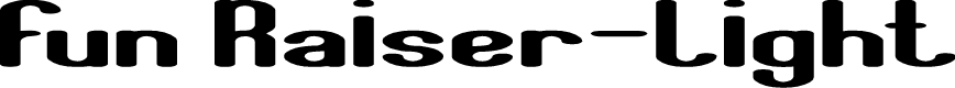 Fun Raiser-Light