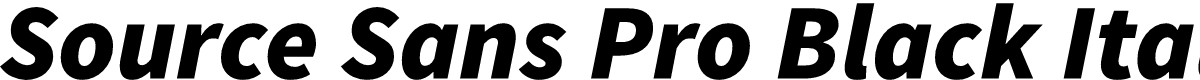 Source Sans Pro Black Italic