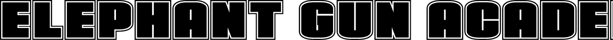 Elephant Gun Academy