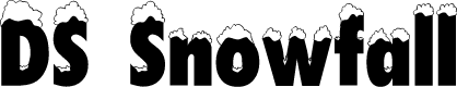 DSSnowfall