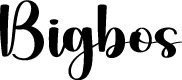 Bigbos