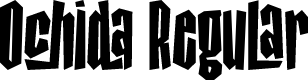 Ochida Regular