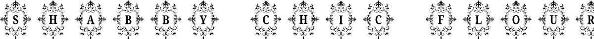 SHABBY CHIC FLOURISHES MONGRAMS Demo Regular