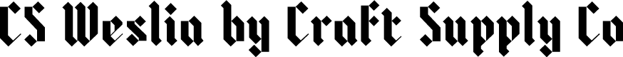 CS Weslia Regular Demo
