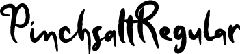 PinchsaltRegular
