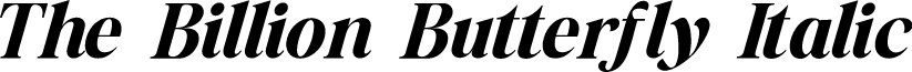 The Billion Butterfly Personal Italic
