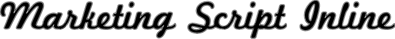 Marketing Script Inline