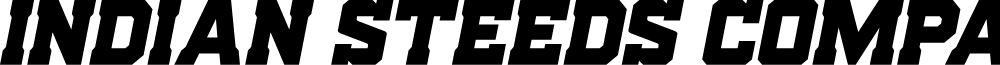Indian Steeds Compact Italic