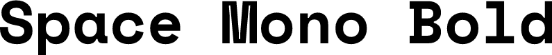 Space Mono Bold