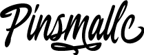 PinsmalleDEMO