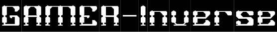 GAMER-Inverse