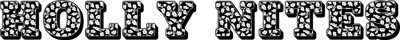 JFHollyNites