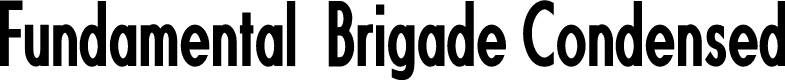Fundamental  Brigade Condensed