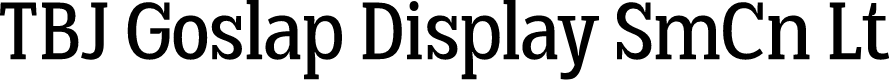 TBJ Goslap Display SmCn Lt
